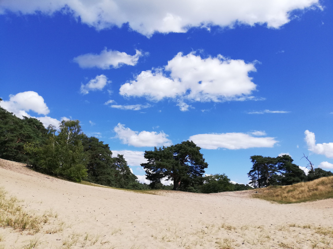 Verdener Dünen-Verden (Aller)必去景点