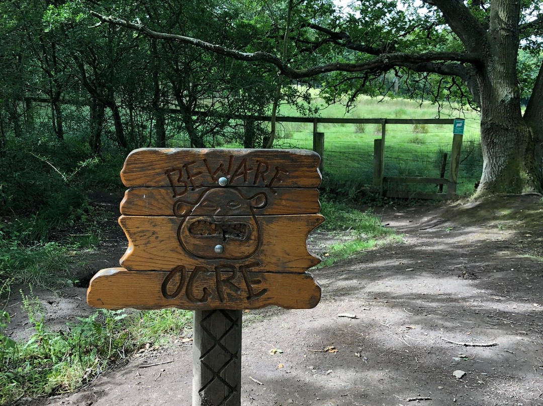 Plessey Woods Country Park-Bedlington必去景点