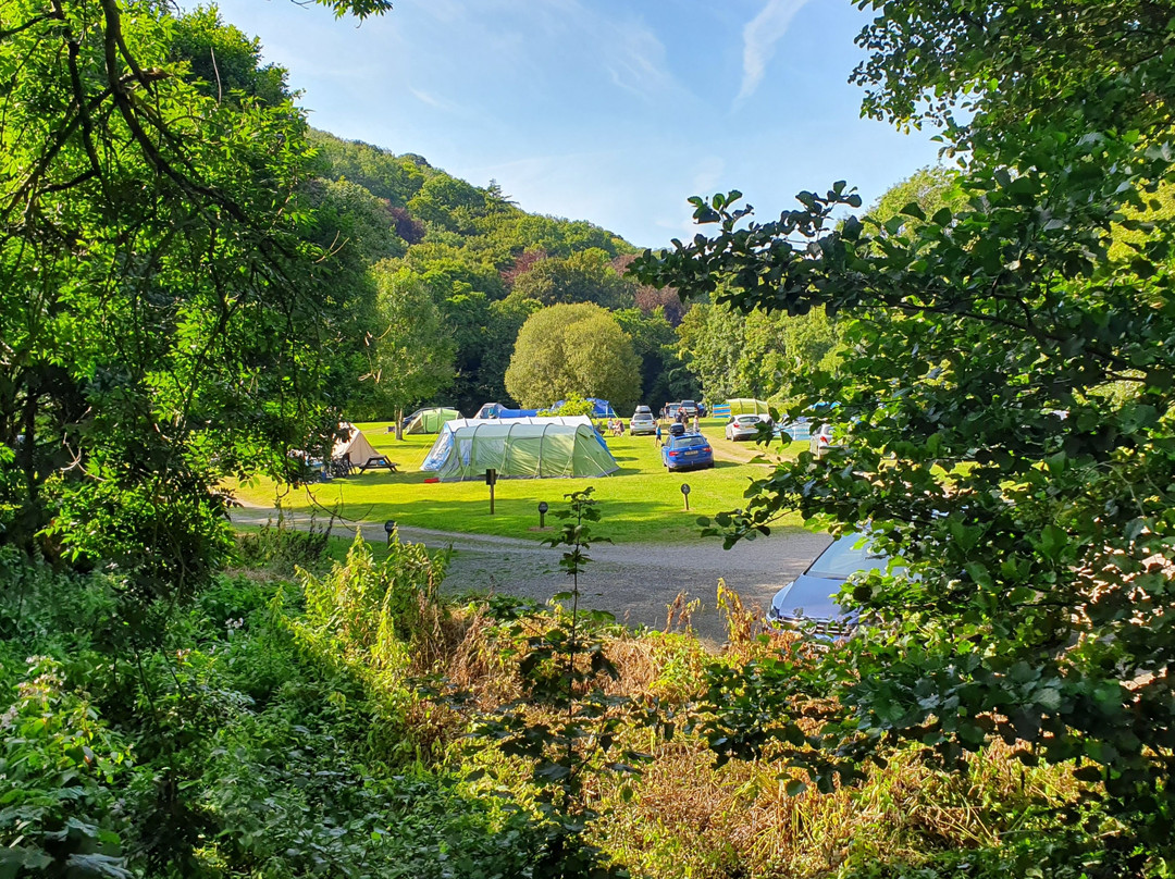 Mill Park Touring Caravan & Camping Park