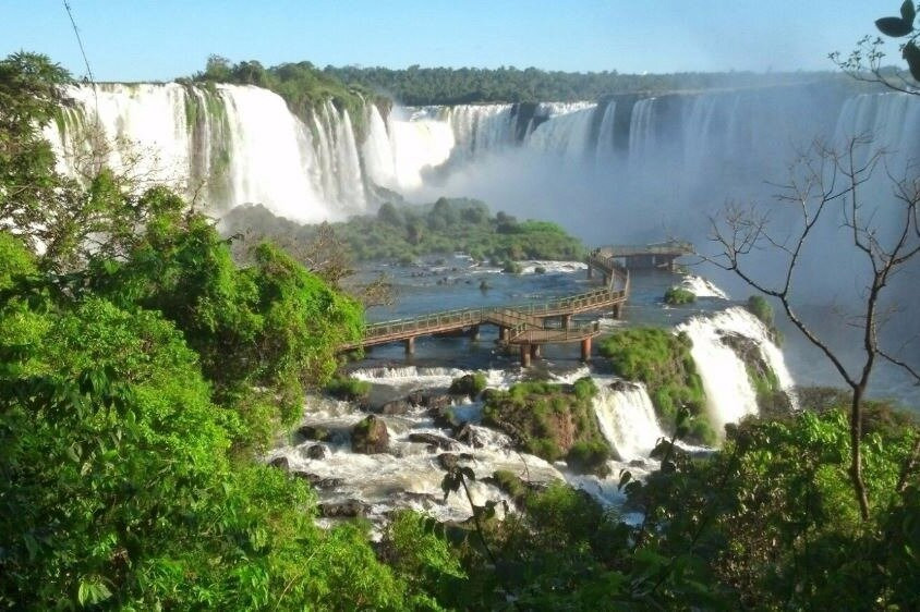 Falls Vision Receptivo