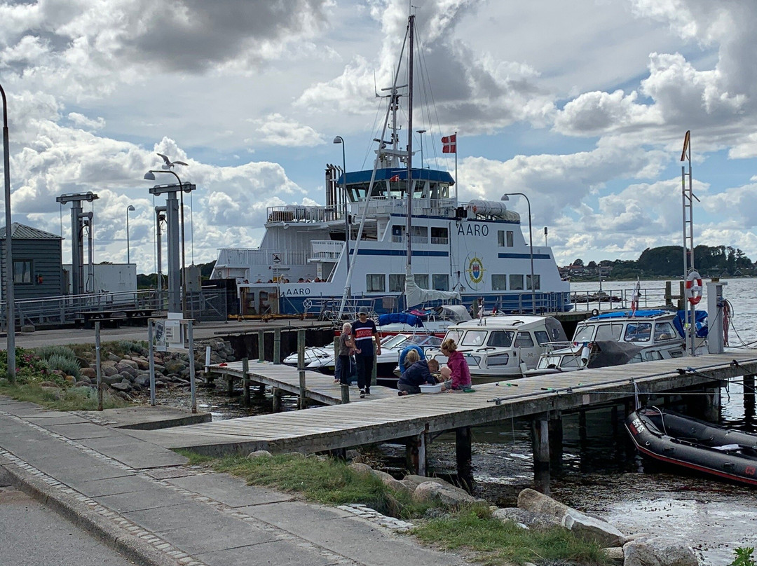 Aaroe ferry景点图片