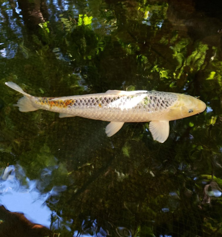 希瑟曼小屋酒店主图