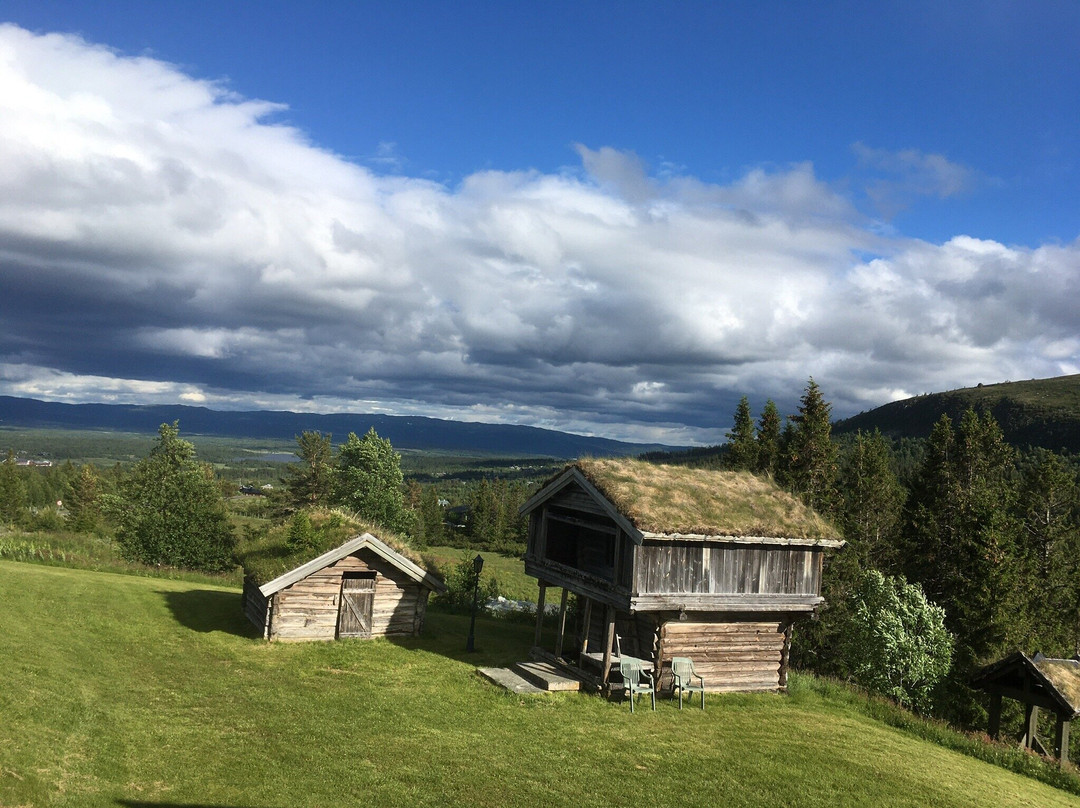 Golsfjellet旅游攻略图片