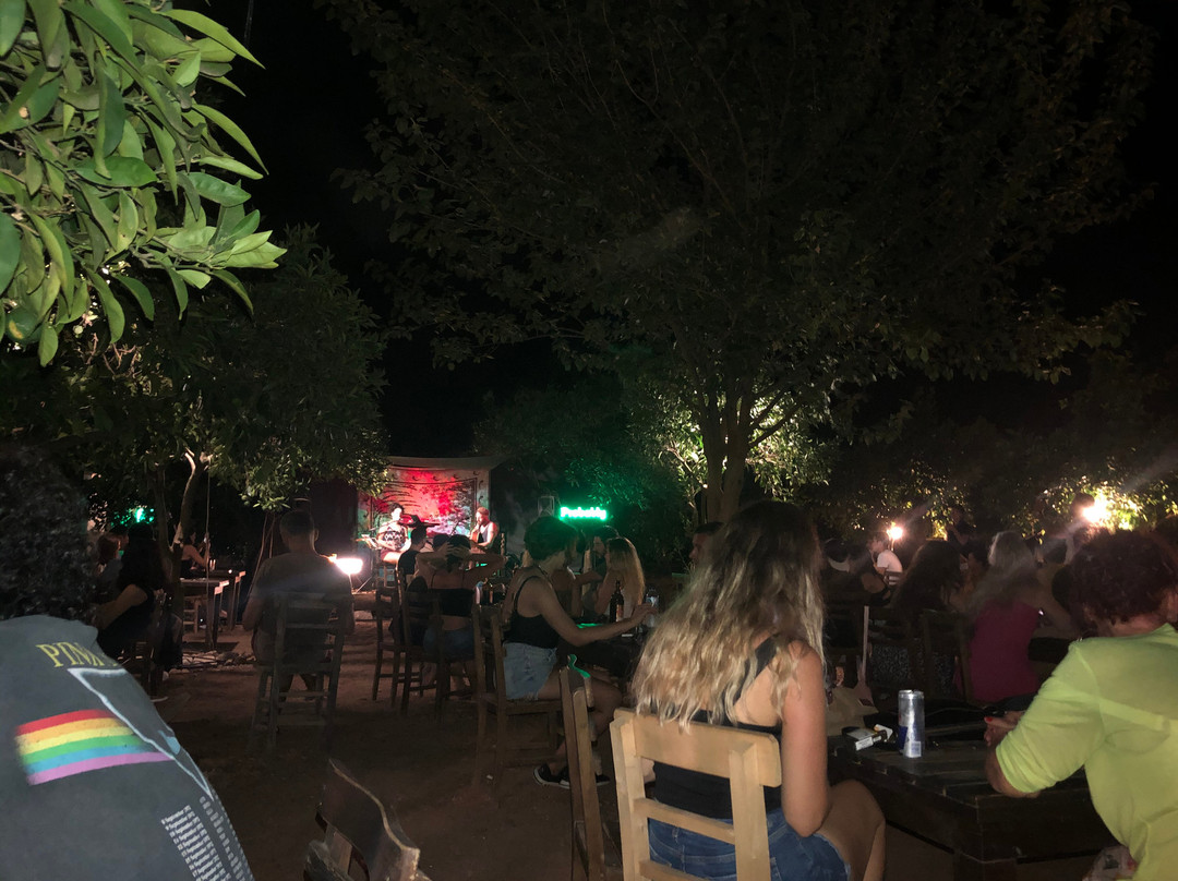 Cafe Cactus景点图片