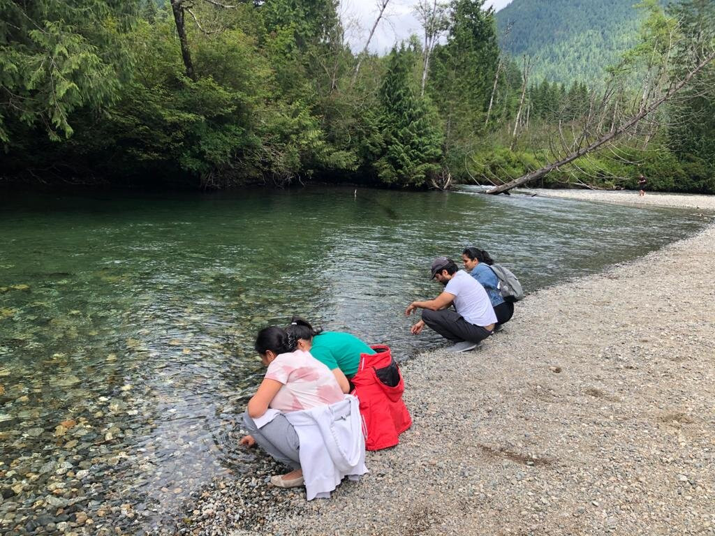 Lower Falls Trail-枫树岭必去景点
