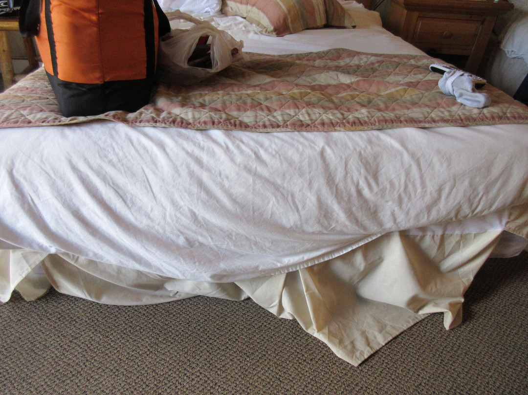 Basecamp at Snowbowl主图