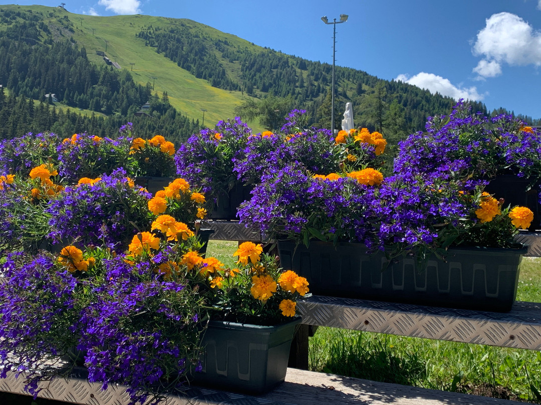 Familienhotel Koch主图