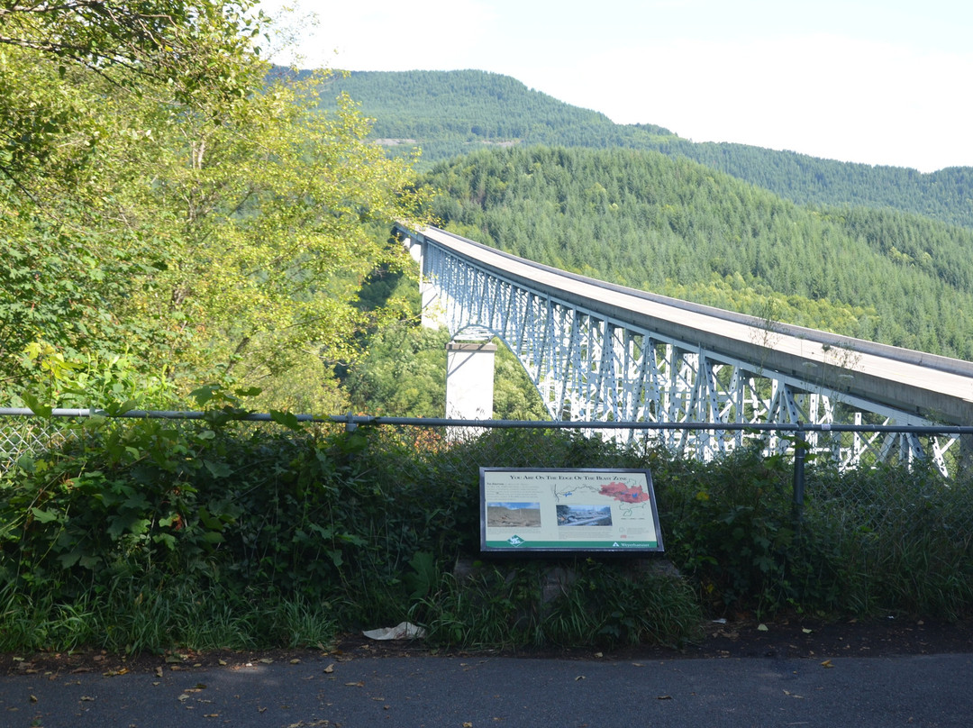 Hoffstadt Creek Bridge景点图片