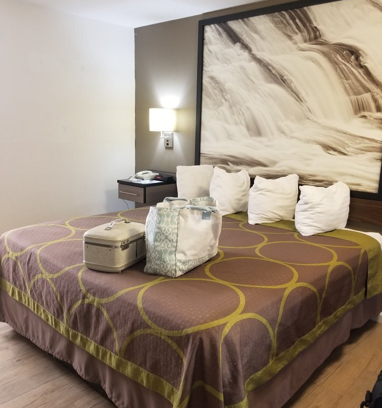 Super 8 by Wyndham Ringgold主图