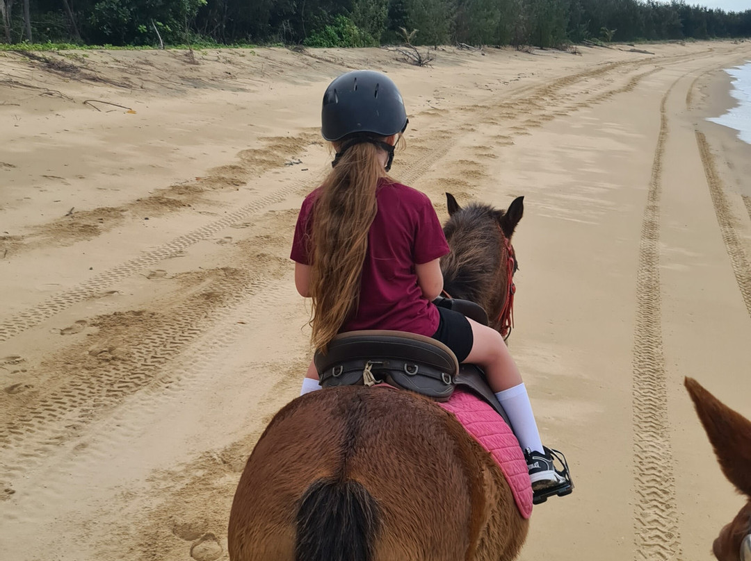 Kurrimine Beach Horse Rides景点图片
