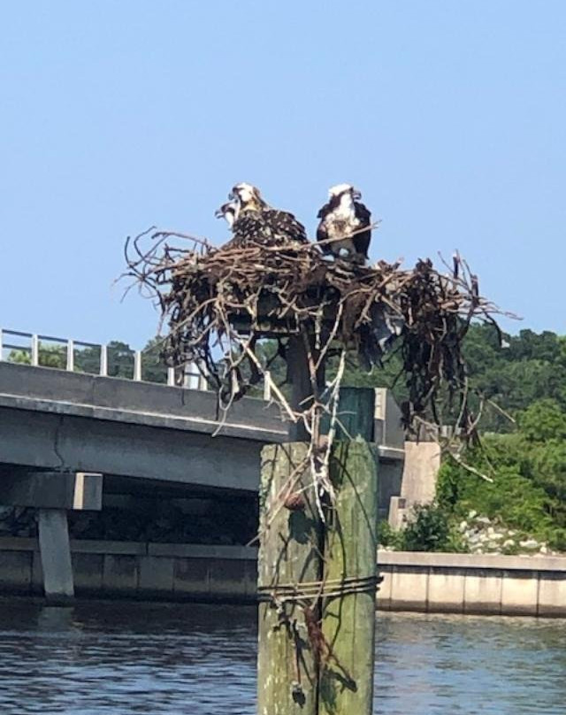 Colington Creek Inn主图