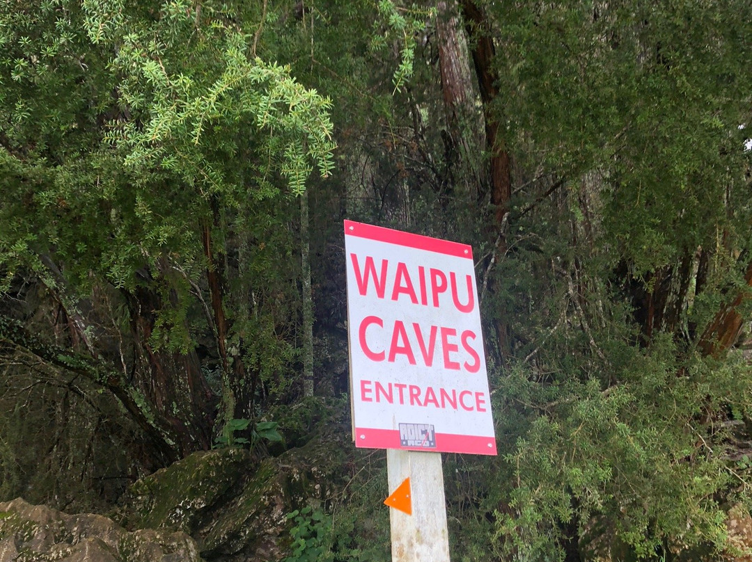 Waipu Caves Scenic Preserve景点图片