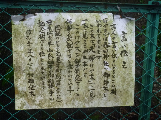 Kasuga Shrine-桧原村必去景点