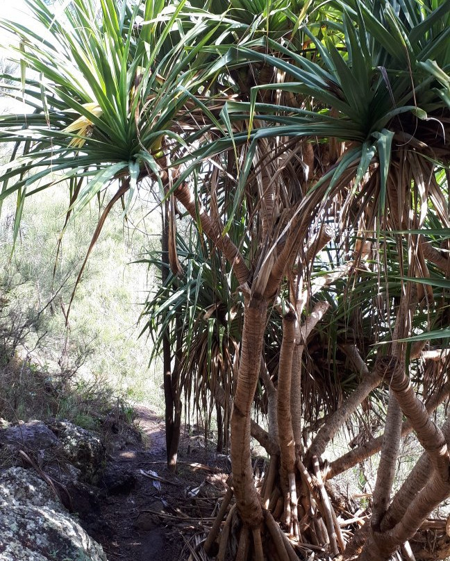 Korogoro Walking Track-Hat Head必去景点
