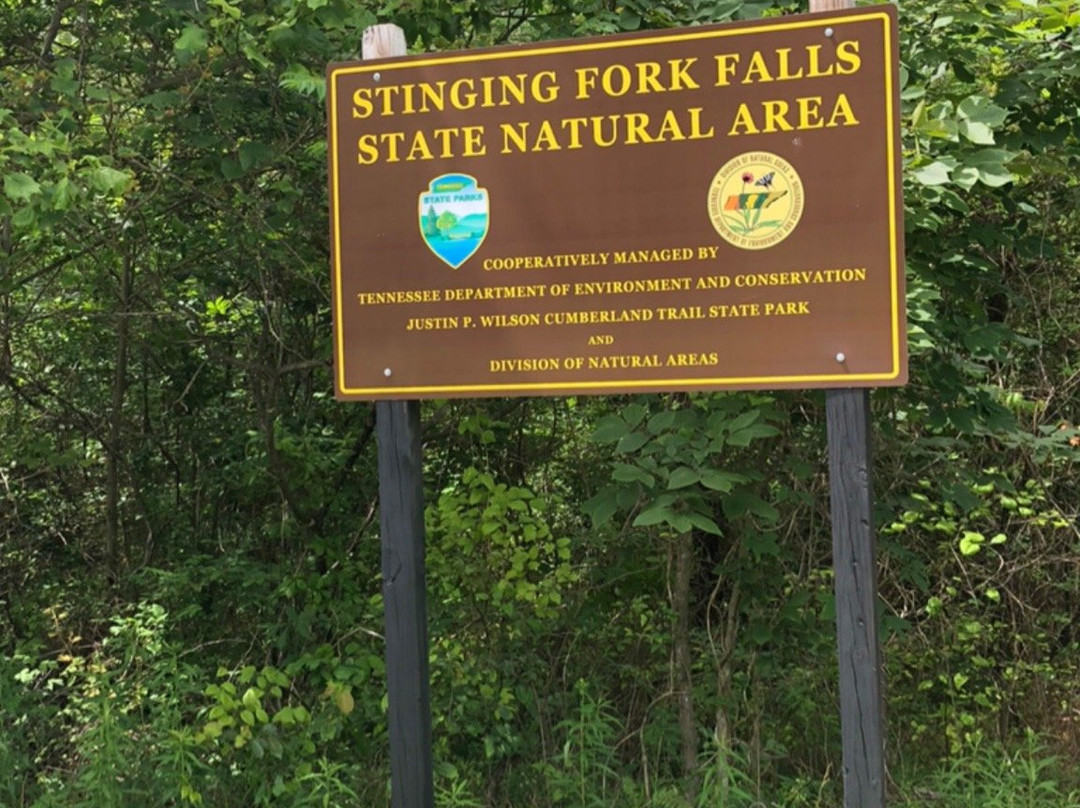 Stinging Fork Falls景点图片