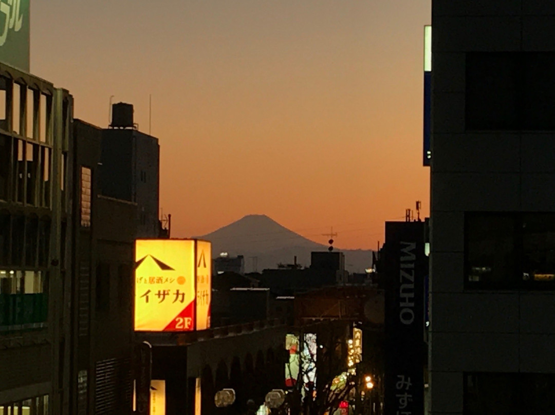 Ito-Yokado Ageo Ekimae-上尾市必去景点