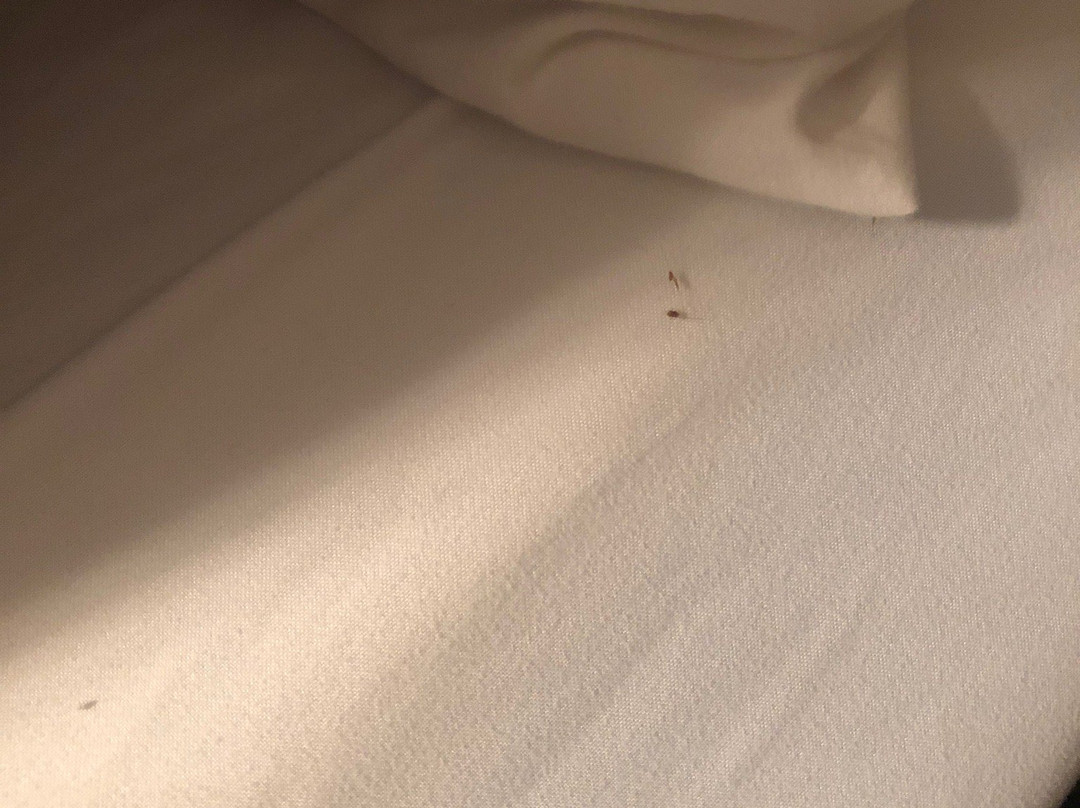 Anchor Inn and Suites主图