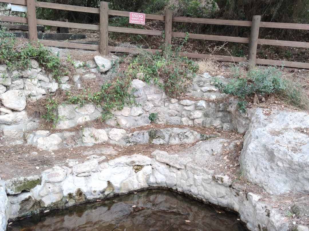 Kibbutz Hanita