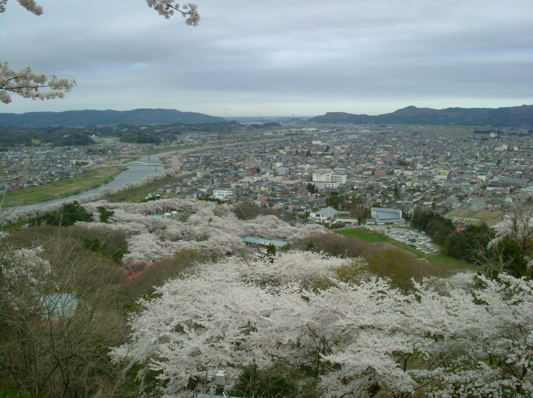 Shiroishigawa Embankment Hitome Sembonzakura-大河原町必去景点