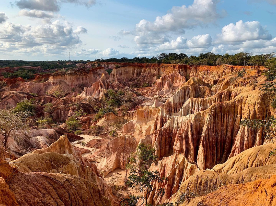 Kenya Tour Safari景点图片