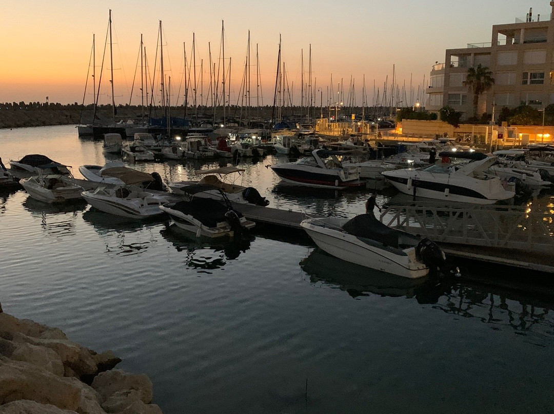 Herzliya Marina-荷兹利亚必去景点