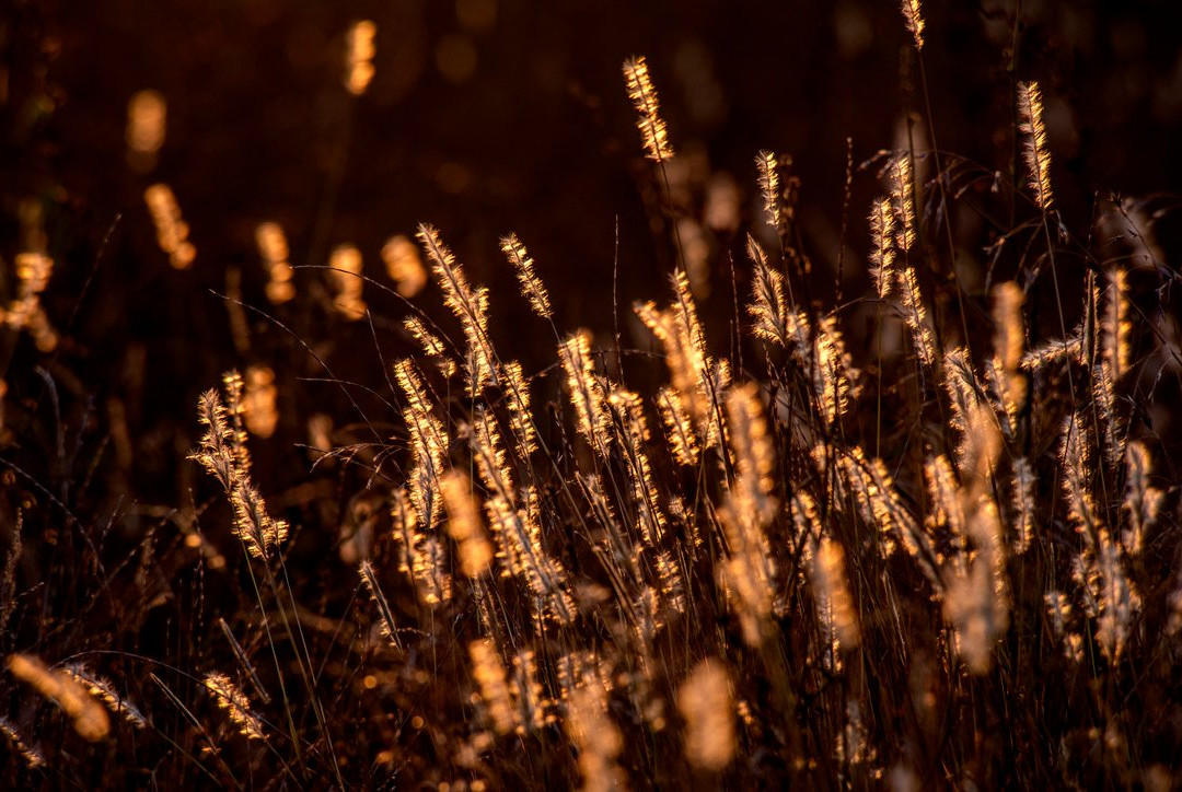 Estancia La Sofia主图