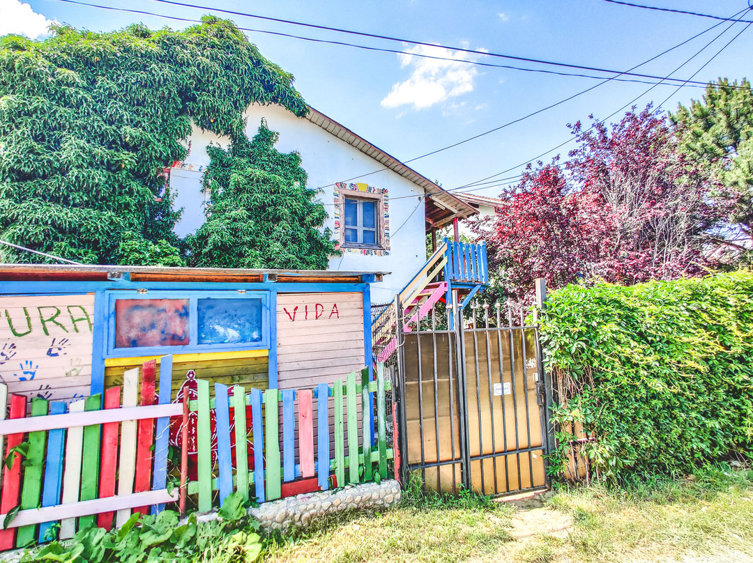 Pura Vida Beach Hostel