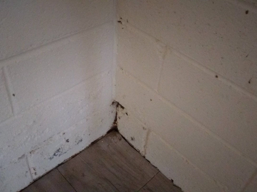 米勒平房汽车旅馆主图