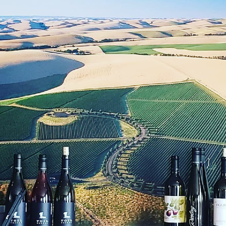 Figgins Winery景点图片
