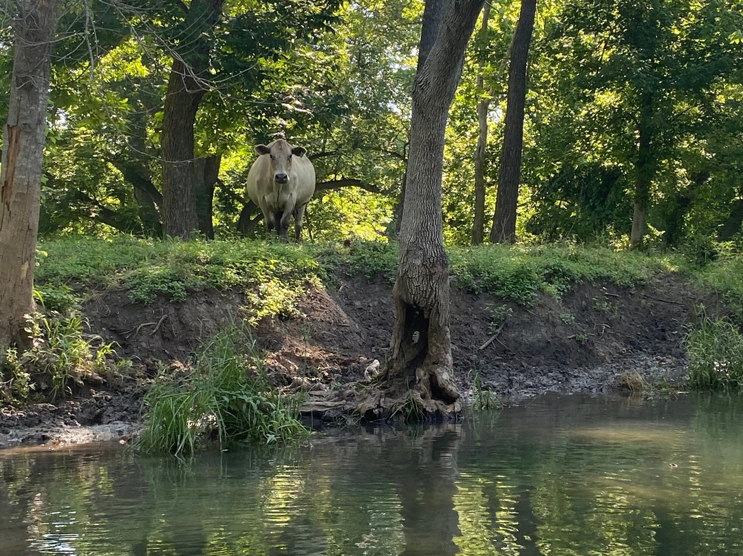Texas Canoes & Kayaks-圣马科斯必去景点