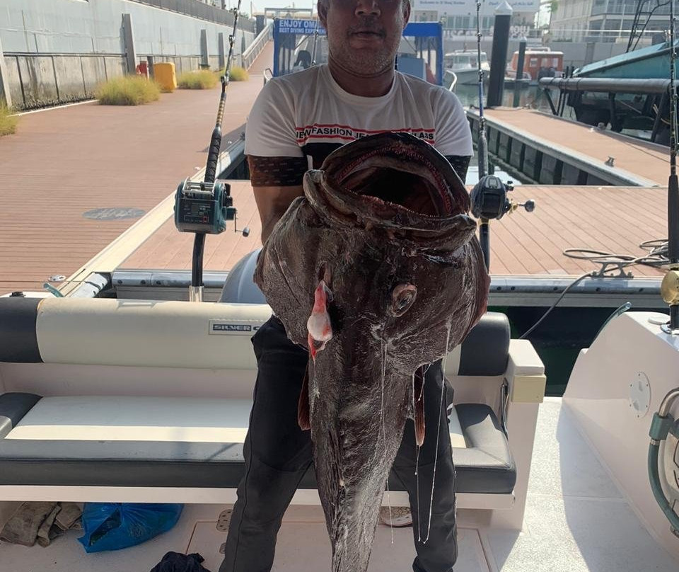 ROYAL MARINE TOURS- Daymaniat Island-锡卜必去景点