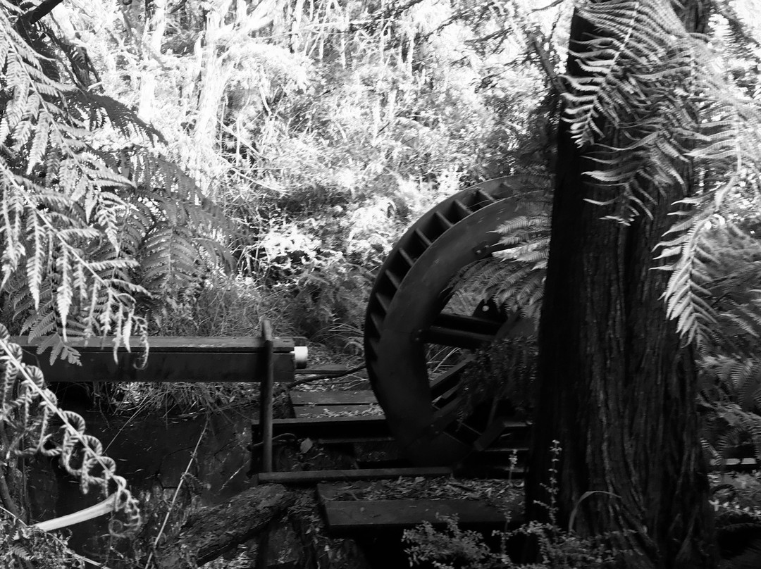 Kurth Kiln Regional Park-Gembrook必去景点