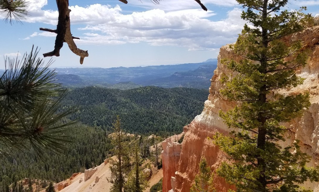 Strawberry Point-Duck Creek Village必去景点