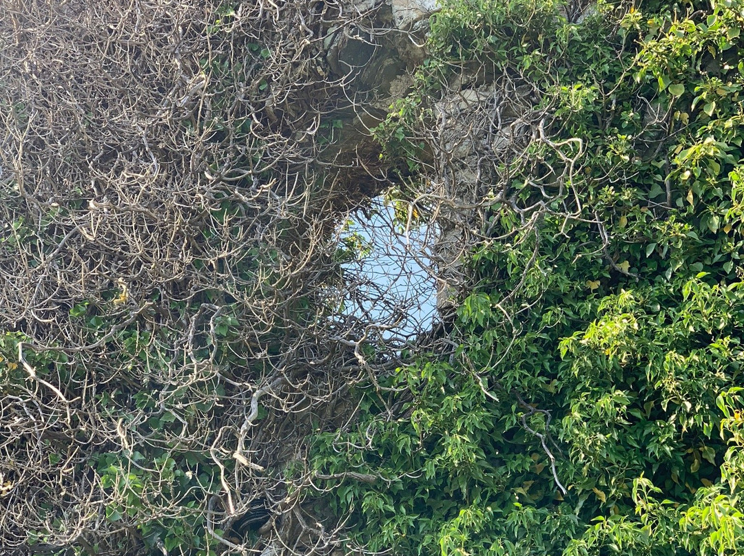 Puck's Castle Ruins-Shankill必去景点