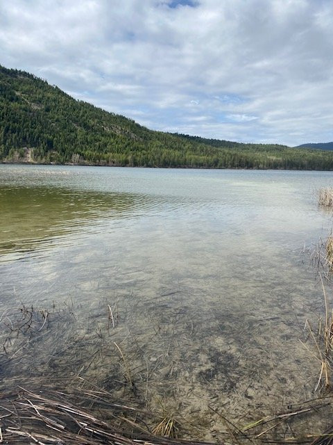 Logan State Park-Libby必去景点