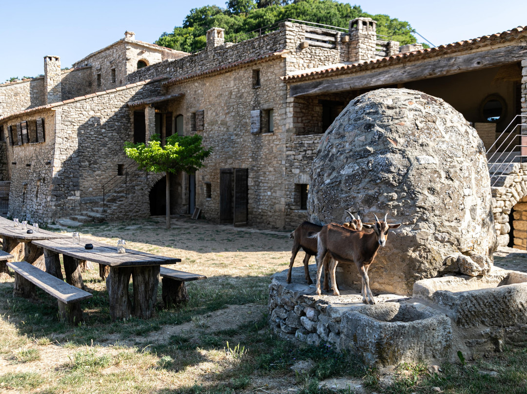 Domaine du Castellas