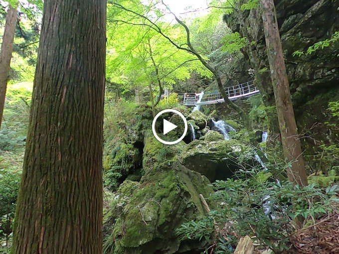 Hijiri Shrine-越知町必去景点