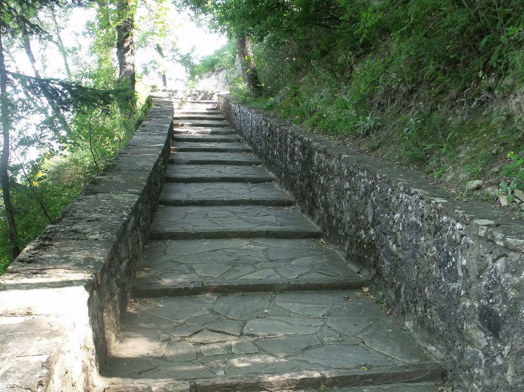 Canossa Castle景点图片
