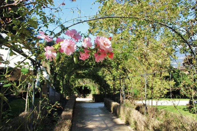 Parco Comunale景点图片