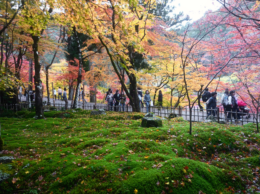 Kojakuji Temple-丰田市必去景点