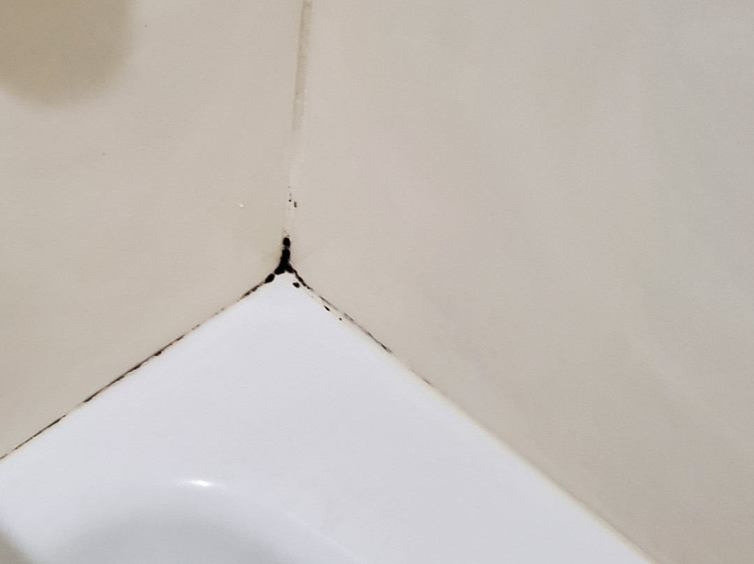 Horseshoe Mountain Lodge主图