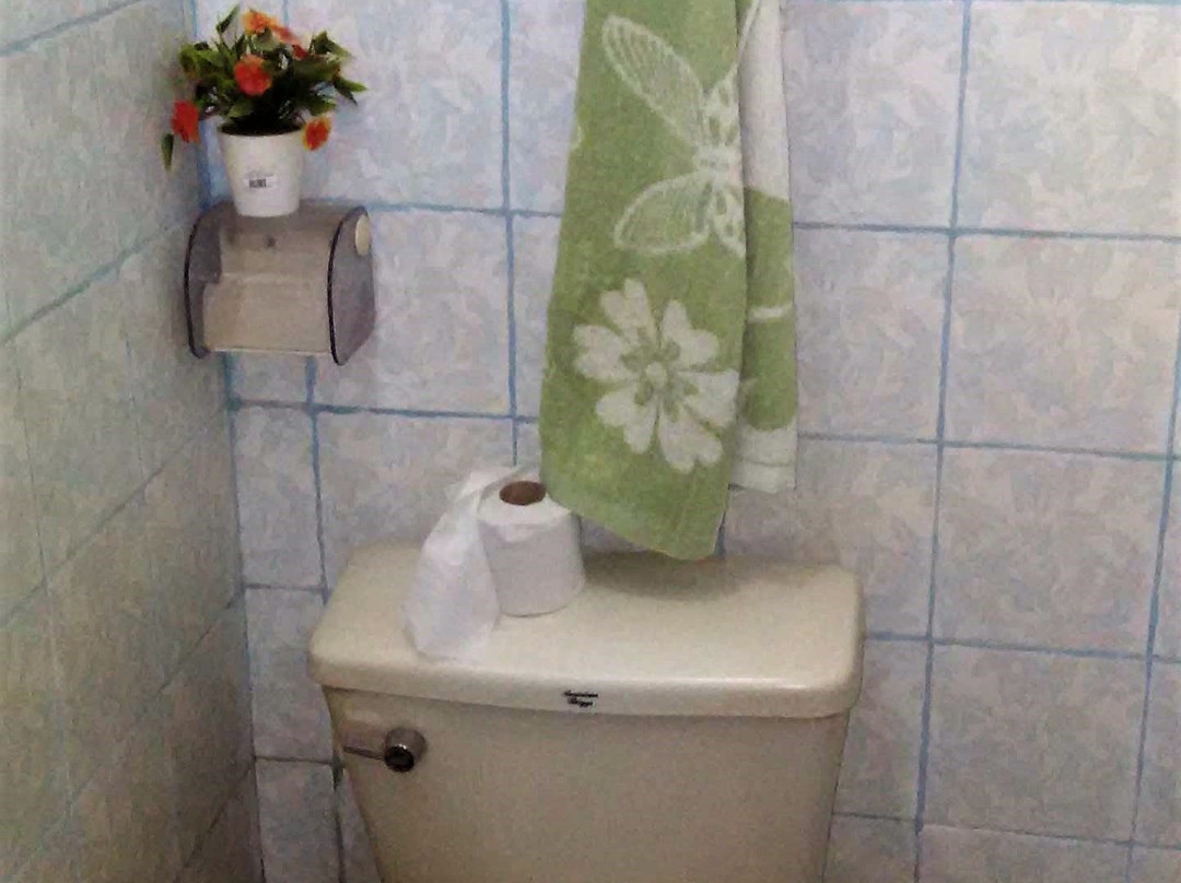 BK Guesthouse主图