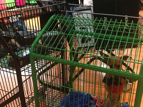 Siñeriz Shopping-Rivera必去景点