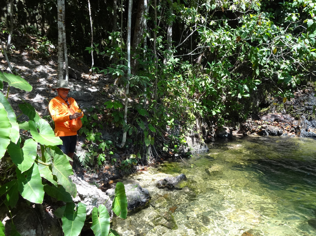 Cachoeira das Araras-Sao Felix do Tocantins必去景点