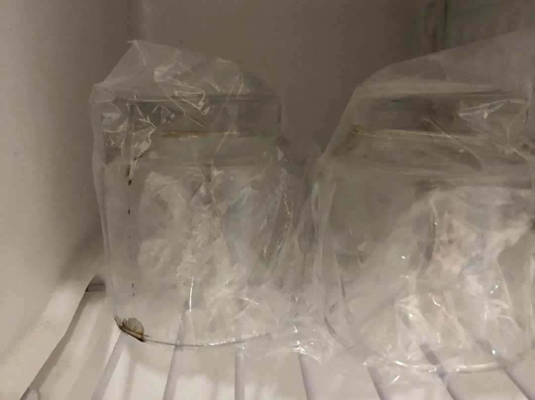 Copas Executive Hotel主图