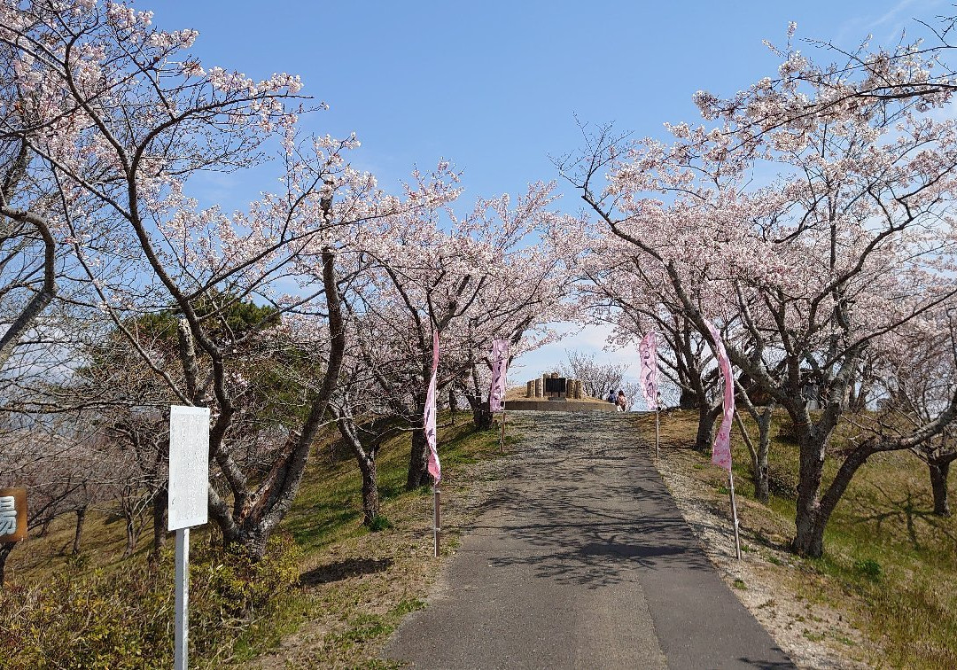 Takiyama Park-东松岛市必去景点
