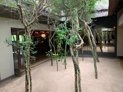 狮沙辛加旅馆主图