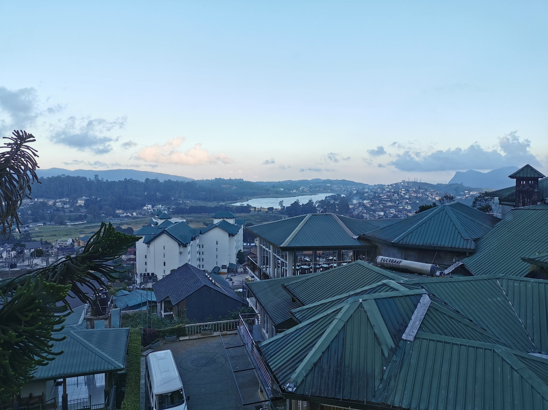 Oak Ray Summer Hill Breeze主图