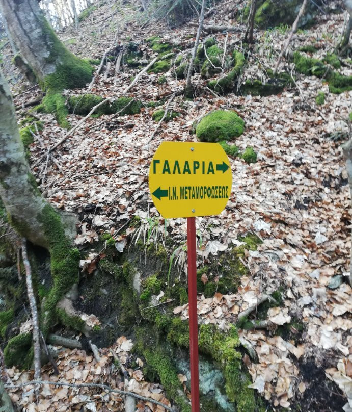 Arxontiko Agonari主图