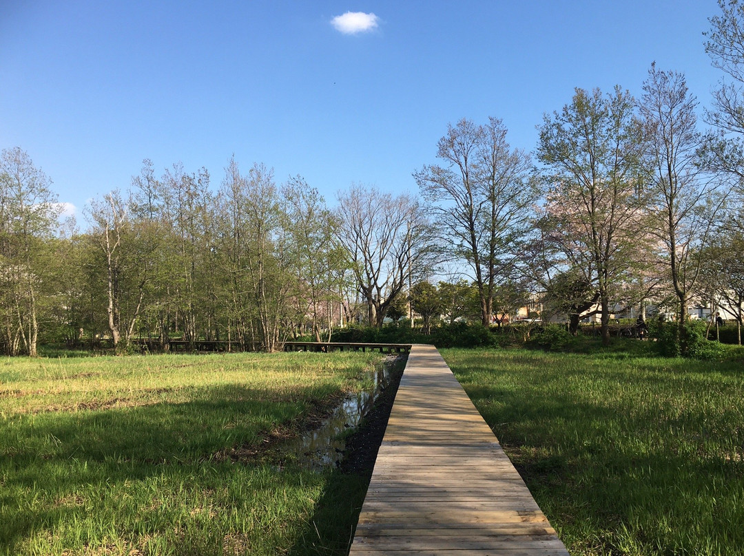 Yagawa Ryokuchi Park-立川市必去景点